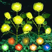Color-Changing Solar Garden Roses