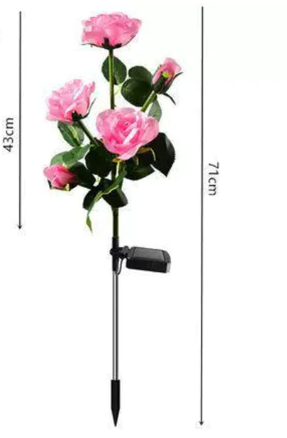 Color-Changing Solar Garden Roses